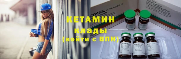 соль ск Инсар